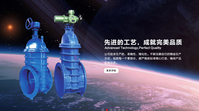 上海通格阀门有限公司