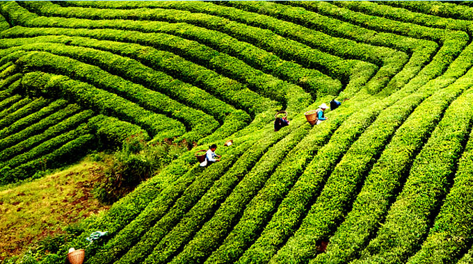 神手农业机械有限公司
